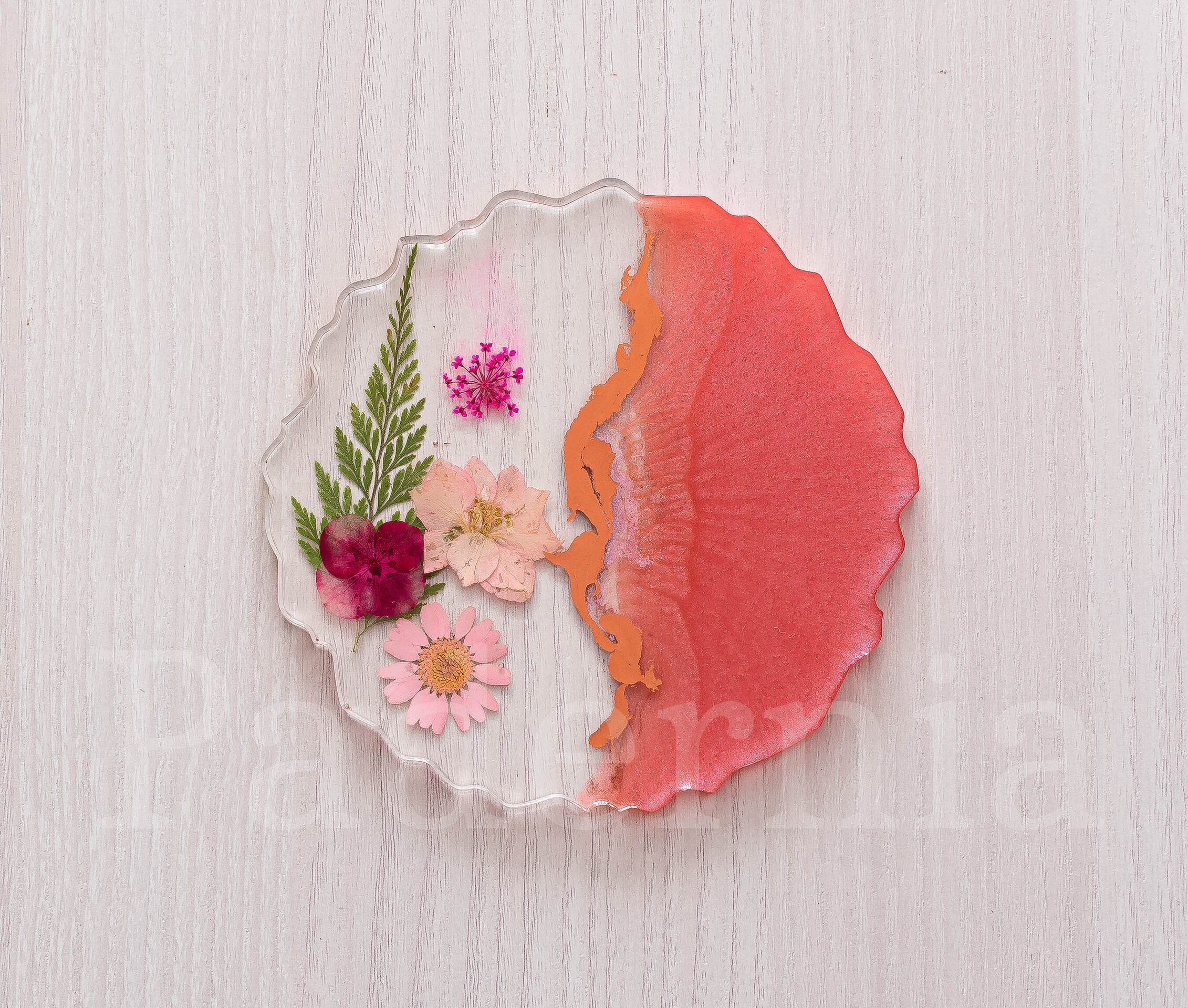 Modelo Primavera - 2